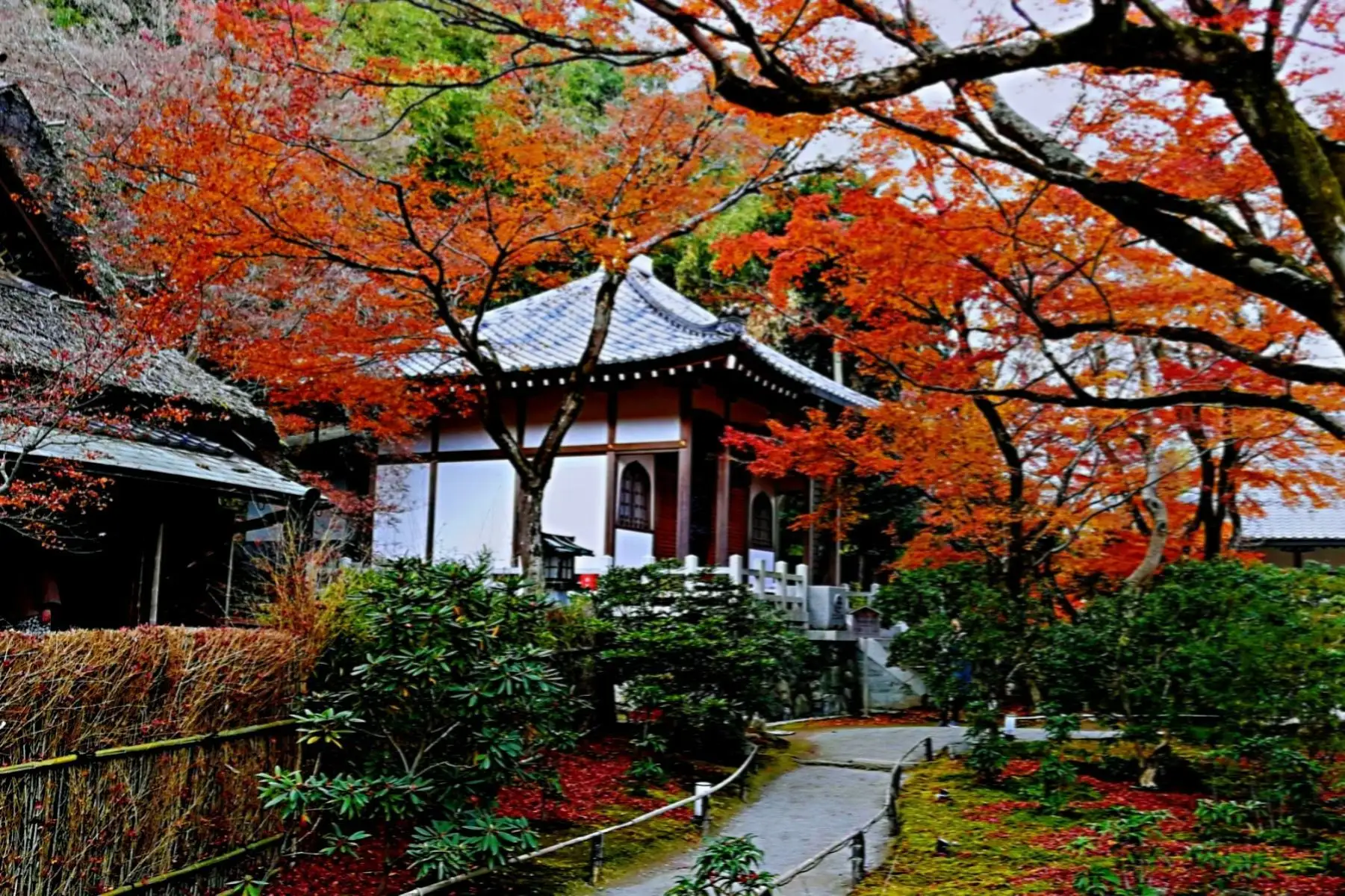 岚山之秋